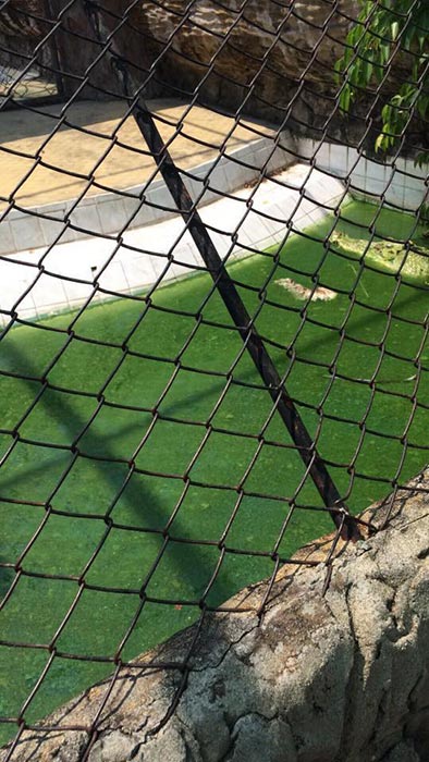 ฟาร์มจระเข้