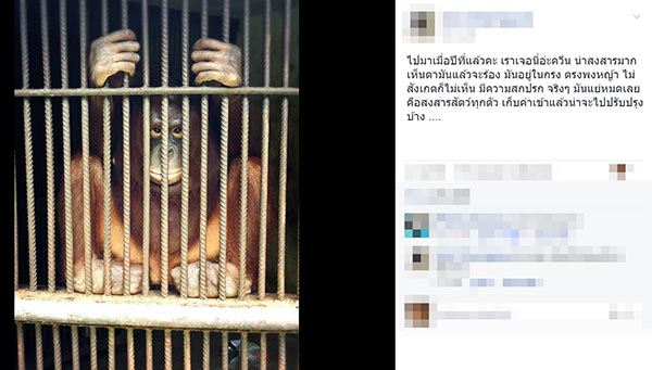 ฟาร์มจระเข้