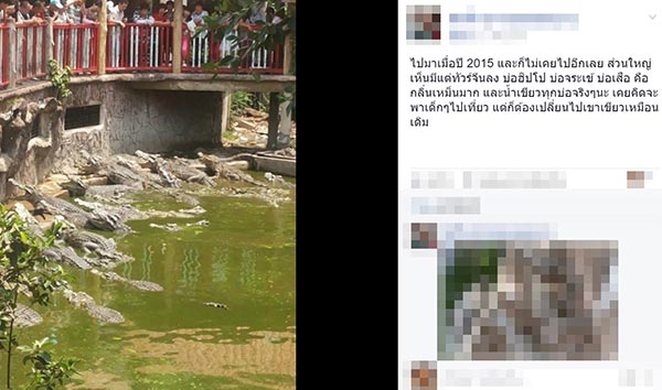 ฟาร์มจระเข้