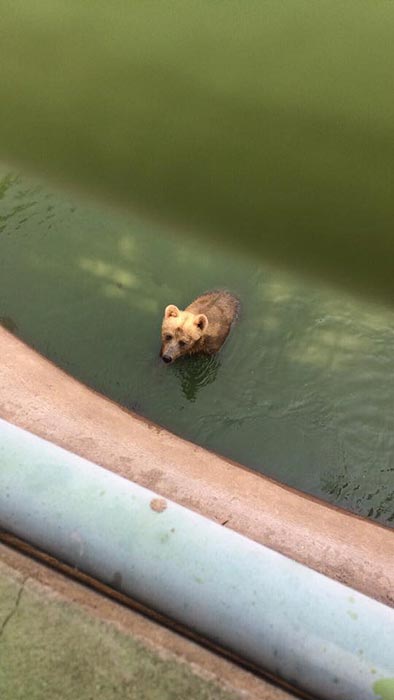 ฟาร์มจระเข้