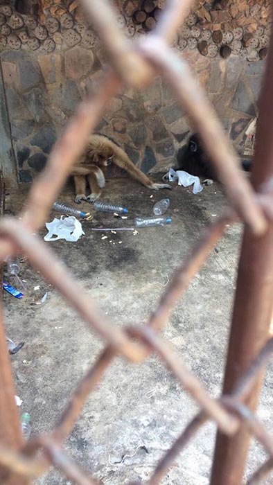 ฟาร์มจระเข้