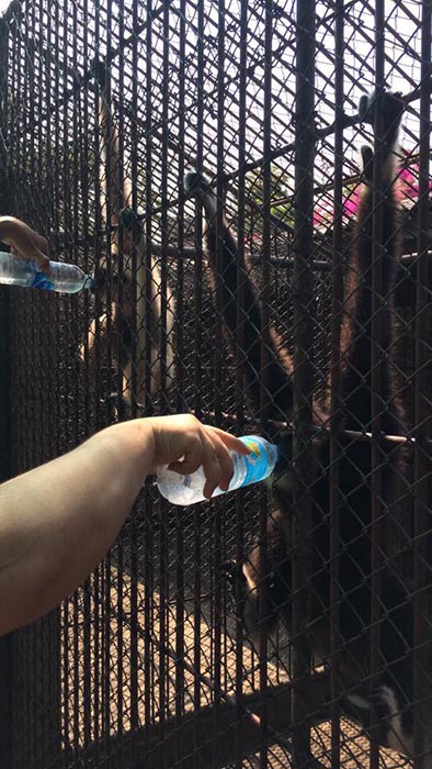 ฟาร์มจระเข้