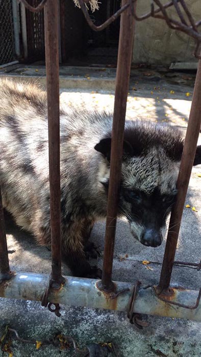 ฟาร์มจระเข้