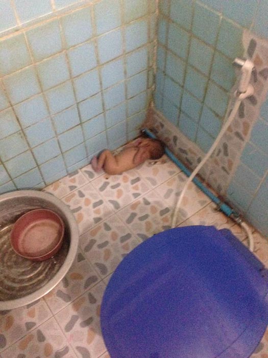 ทารกถูกทิ้ง