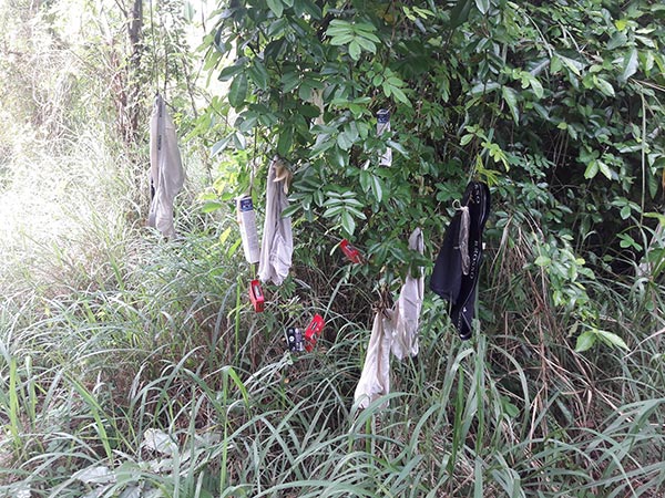 ป่ากางเกงใน