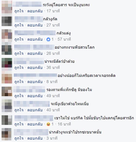 แท็กซี่ปลูกต้นไม้