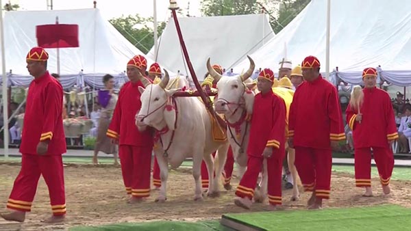 วันพืชมงคล 2560