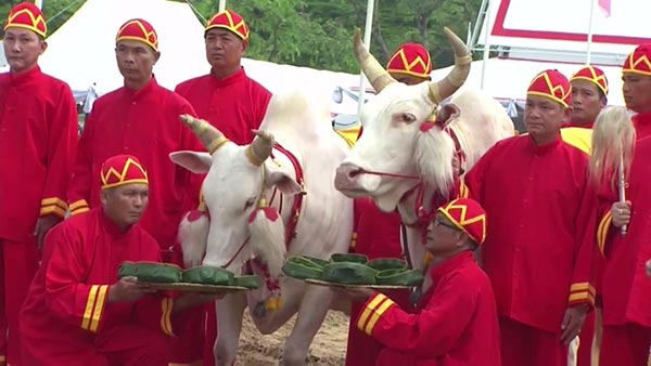 วันพืชมงคล 2560