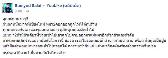 ช่วยลูกหมา