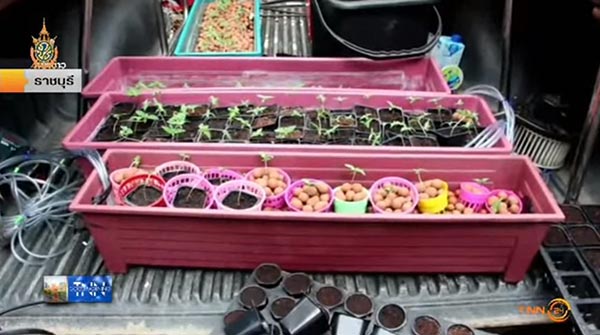 ปลูกกัญชาระบบนาโน