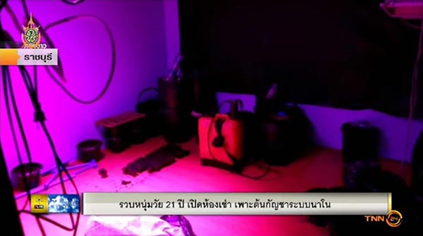 ปลูกกัญชาระบบนาโน