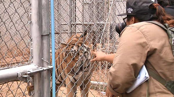 วัดป่าหลวงตาบัว