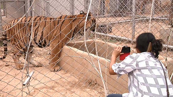 วัดป่าหลวงตาบัว