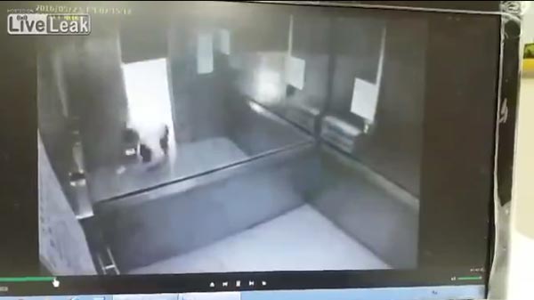 ลิฟต์ดึง