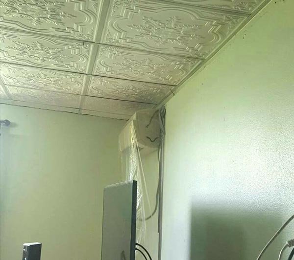 งูเข้าบ้าน