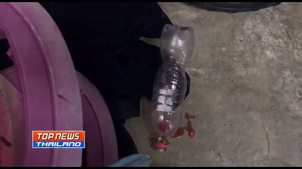 น้องฝ้าย