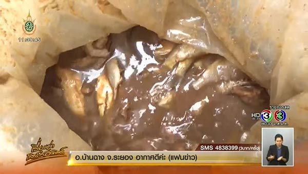 ปลาร้าซากงู