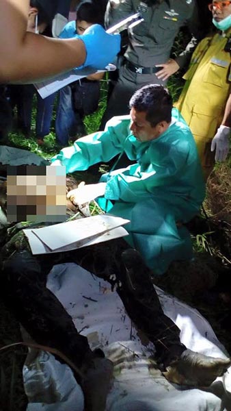 ฆ่าหมกป่า