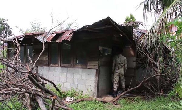 ไม้พะยูงทับบ้าน