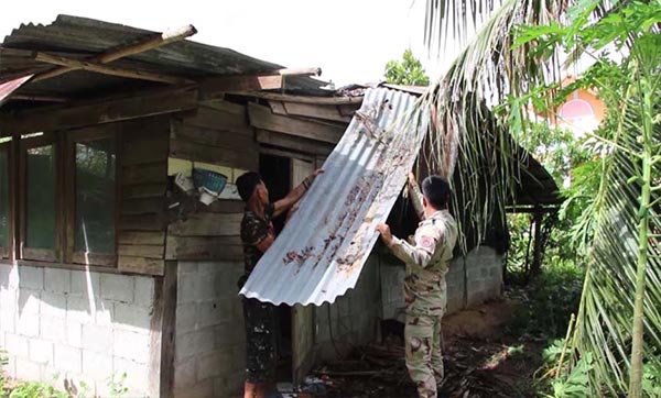 ไม้พะยูงทับบ้าน