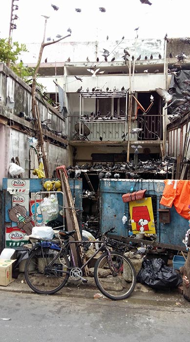 บ้านนกพิราบ