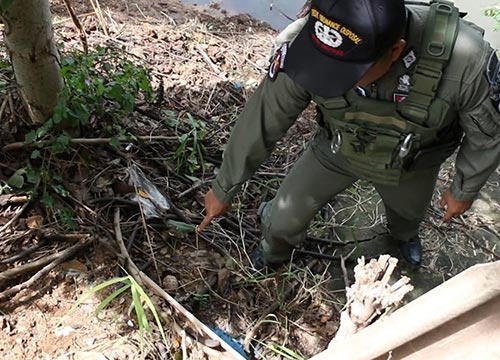 ระเบิดน้อยหน่า