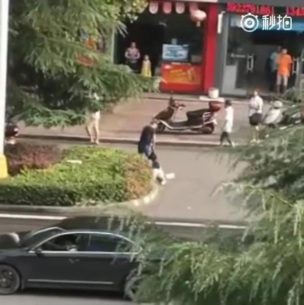 ดึงผมสาวลากข้ามถนน