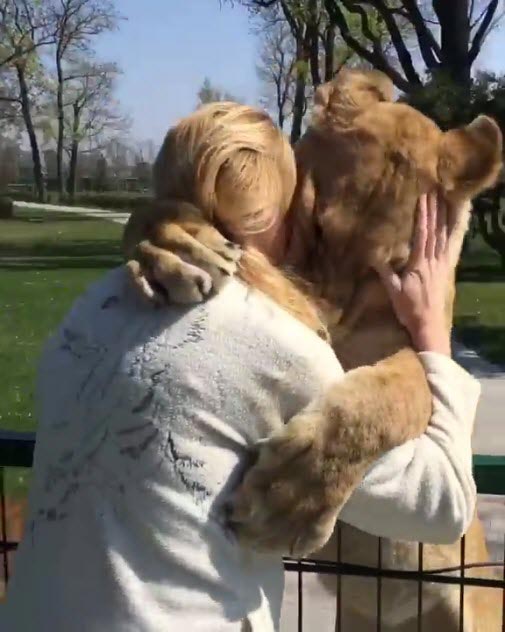 สิงโตกอดมนุษย์