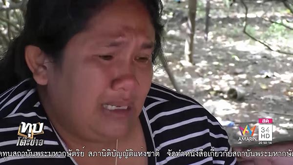 ขุดหาไม้ตะเคียน