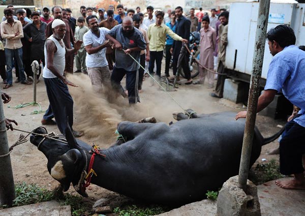 เชือดพลีทาน