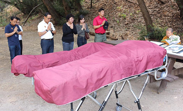 ตกเหว อเมริกา