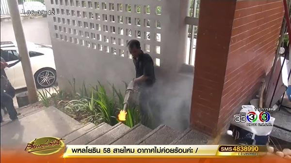 งูเหลือม