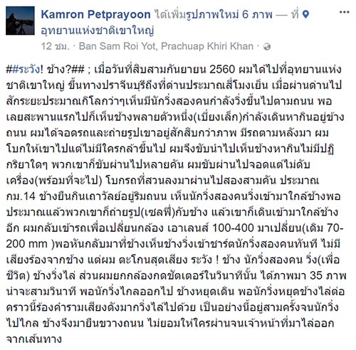 ช้างวิ่งไล่