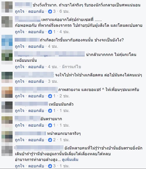 ช้างวิ่งไล่