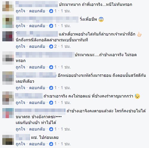 ช้างวิ่งไล่