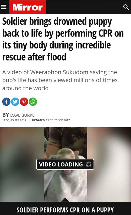 ช่วยหมาจมน้ำ