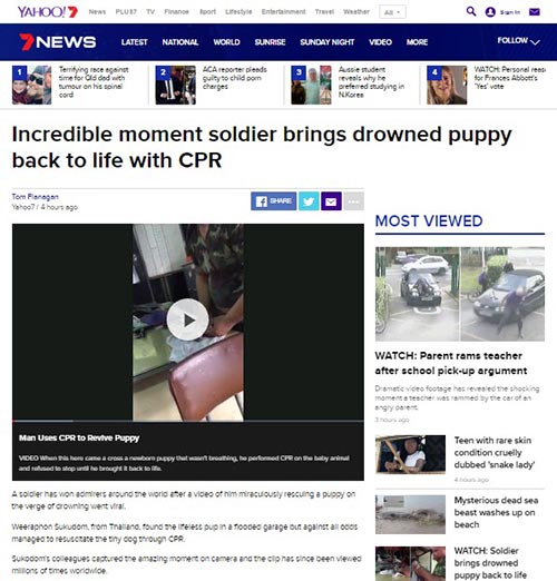 ช่วยหมาจมน้ำ