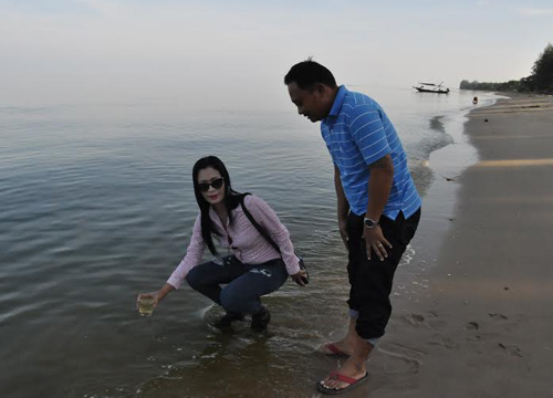 แพลงก์ตอนบลูม