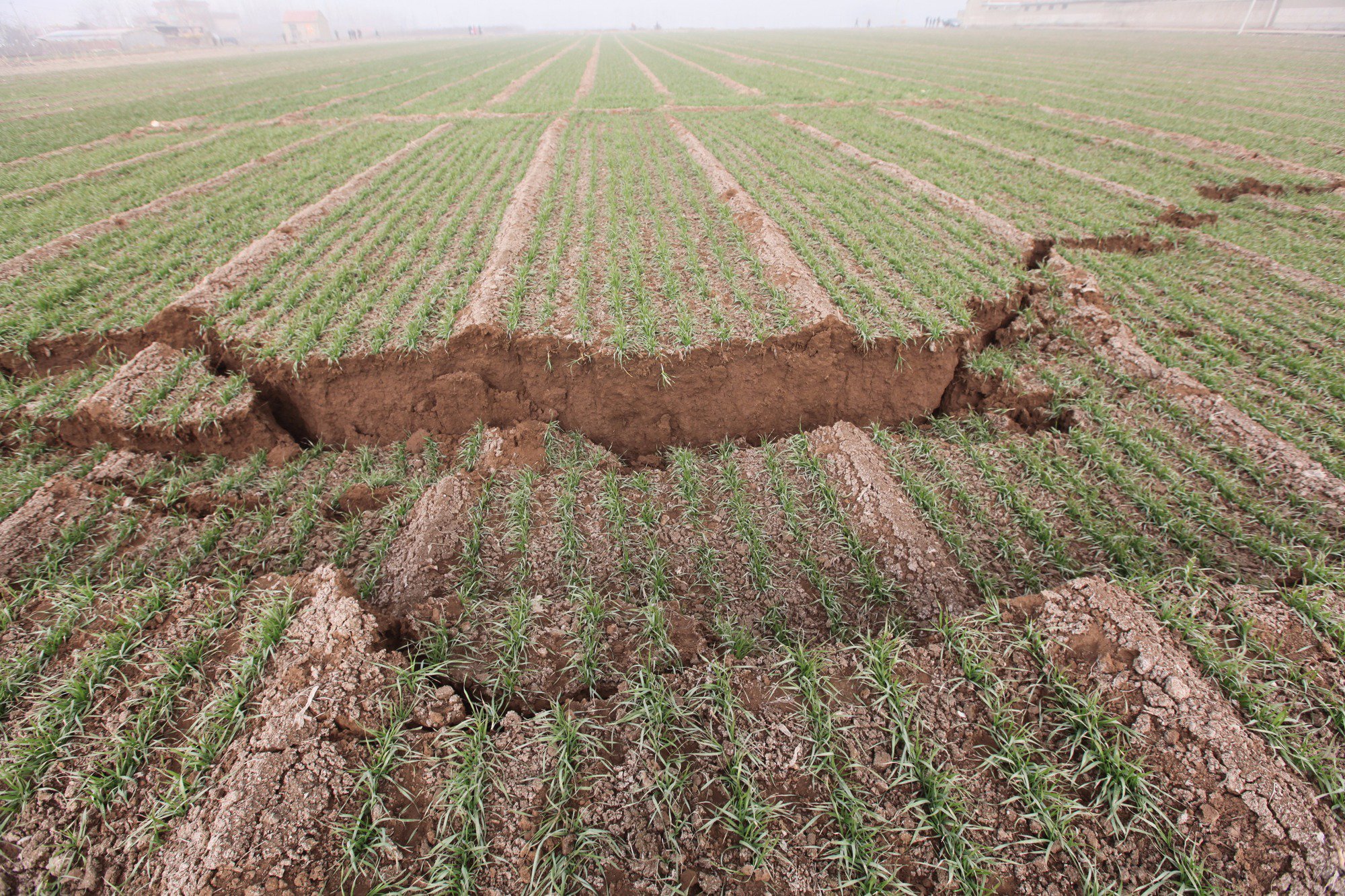 จีนเหมืองถล่ม แผ่นดินแยก