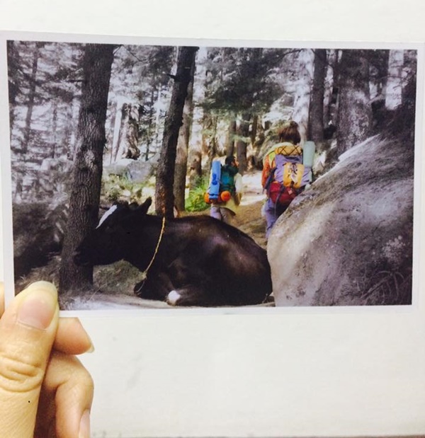 นักท่องเที่ยวขายโปสการ์ด