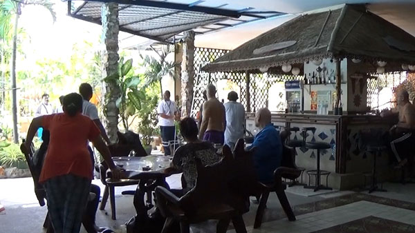 งูเขียวหางไหม้