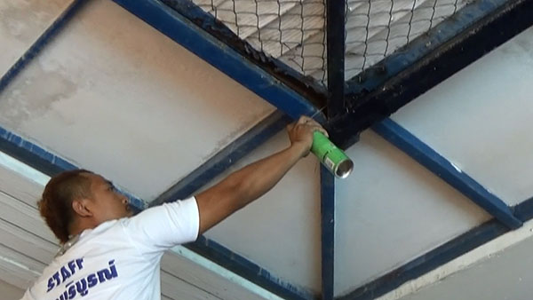 งูเขียวหางไหม้