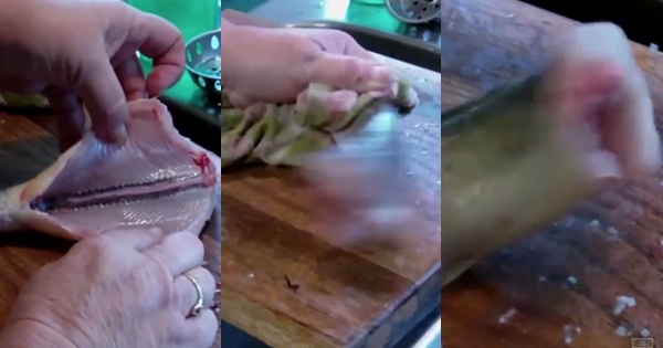 ปลาซอมบี้