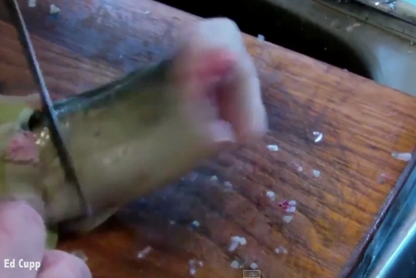 ปลาซอมบี้