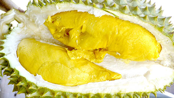 พบทุเรียนพันธุ์หายาก เนื้อสัมผัสเหนียวคล้ายทุเรียนกวน 