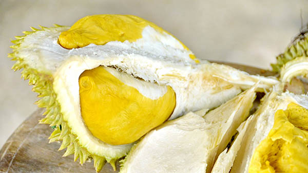 พบทุเรียนพันธุ์หายาก เนื้อสัมผัสเหนียวคล้ายทุเรียนกวน