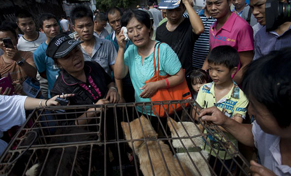 ไถ่ชีวิตสุนัข