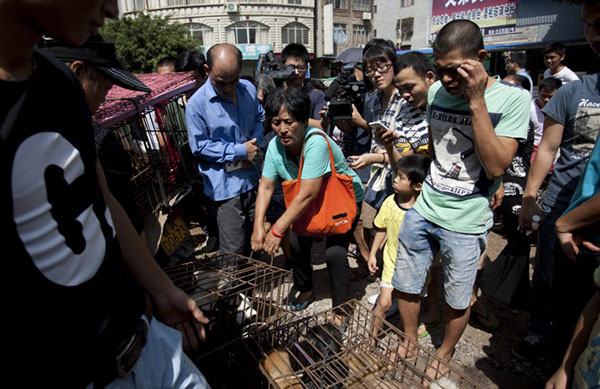 ไถ่ชีวิตสุนัข