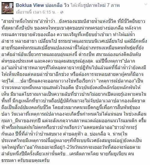 ปรากฏการณ์ปลากอง