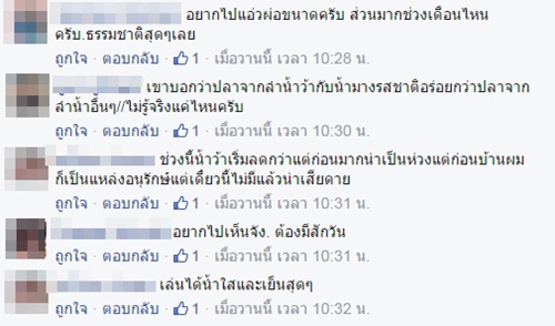 ปรากฏการณ์ปลากอง